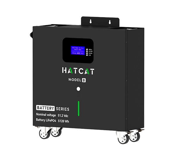 Battery Module Model B - ESS system HATCAT